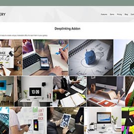 WordPress画廊插件Envira Gallery v1.9.7河蟹版下载