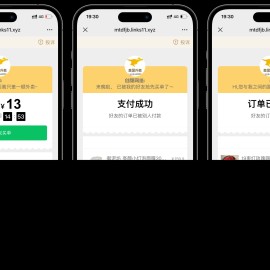 美团代付可对接易支付版源码