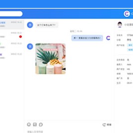 CRMChat网页版：全方位在线客服系统源码与管理体系平台