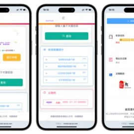 黑名单举报查询系统源码 网页源代码查看器 举报软件的平台