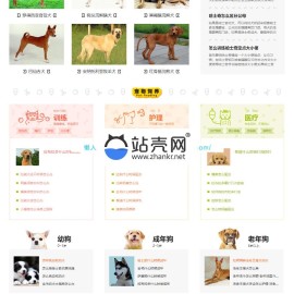 帝国CMS内核仿《小可爱宠物网》宠物资讯平台网站源码完整版 火车头采集 手机版_源码下载