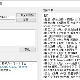PC抖侠-抖音批量去水印下载器