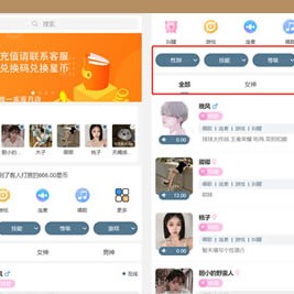 游戏陪玩语音聊天系统v3.0 – 独立版本源码